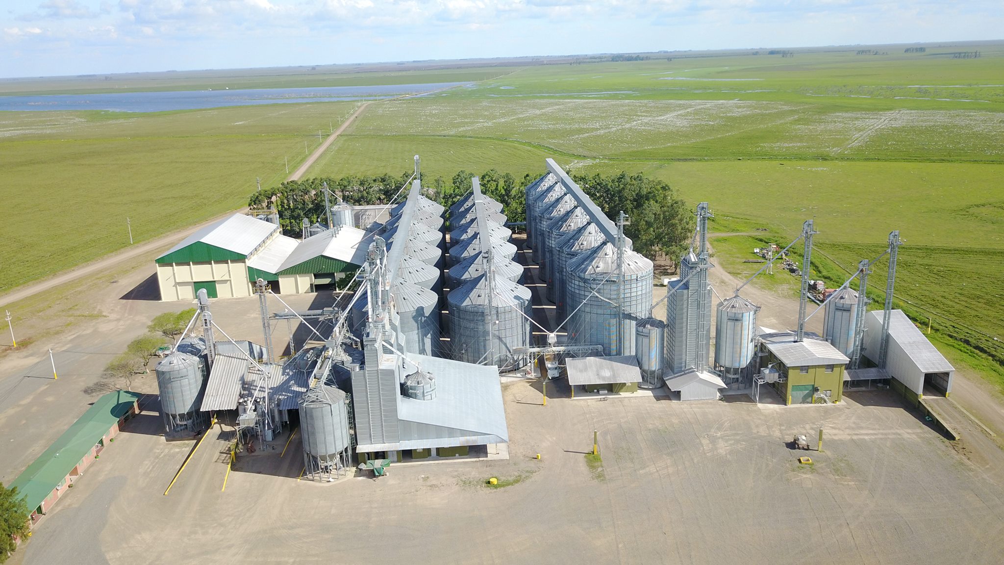 Procesos de Exportación en CEAGRO